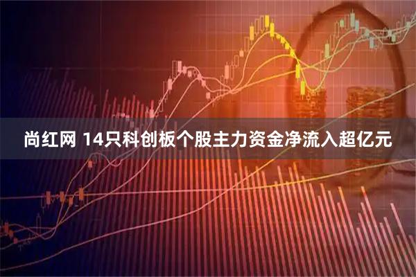 尚红网 14只科创板个股主力资金净流入超亿元