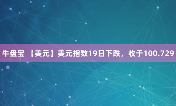 牛盘宝 【美元】美元指数19日下跌，收于100.729